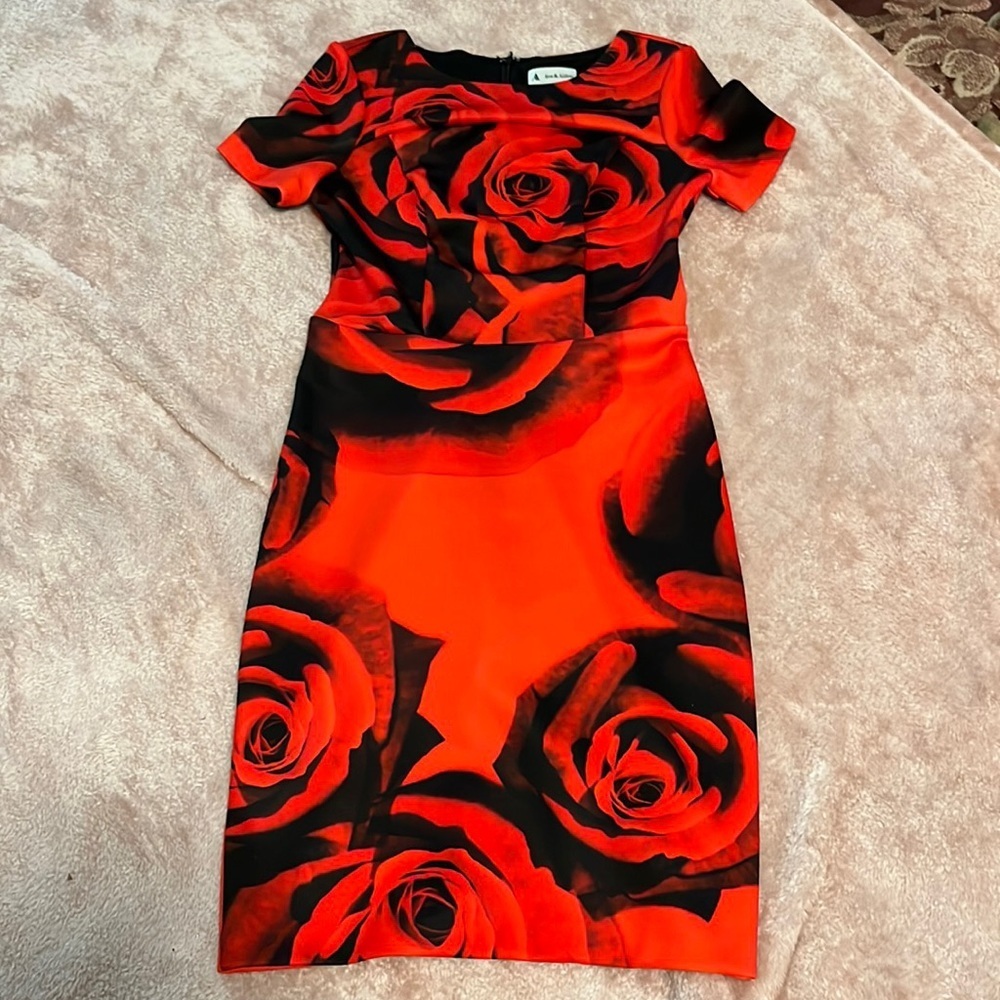 Ava & Aiden red and black roses dress XS